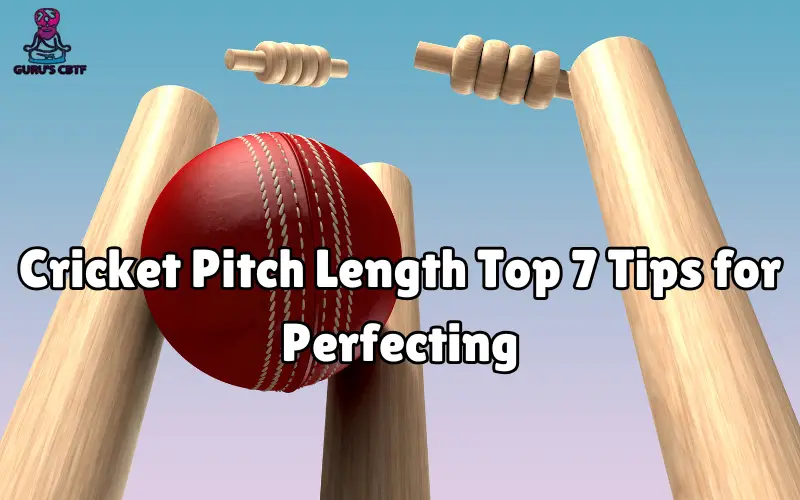 cricket pitch length